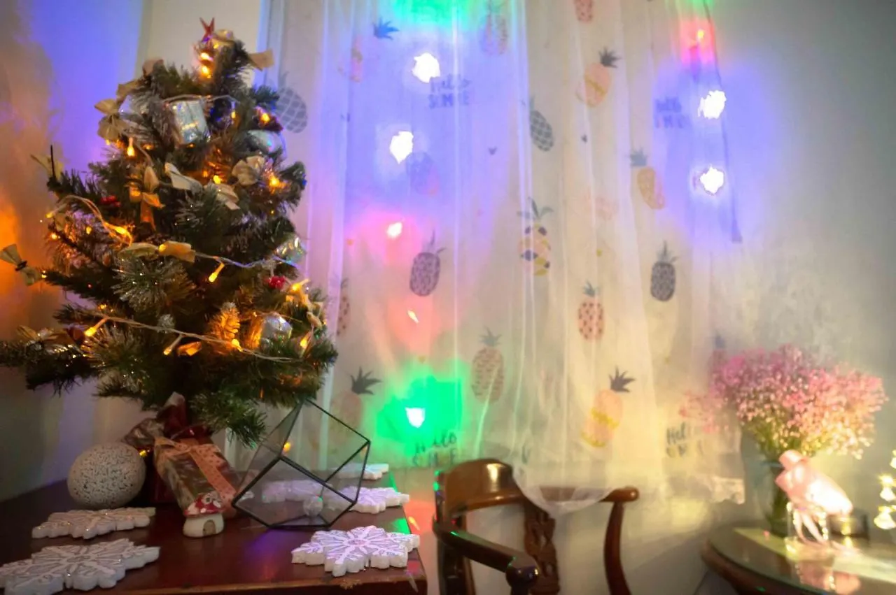 Nguyen Hoang Hotel Vung Tau 0*,